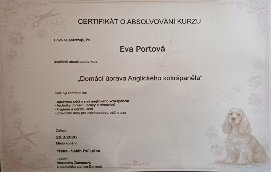 Přehled certifikátů a osvědčení Evy Portové